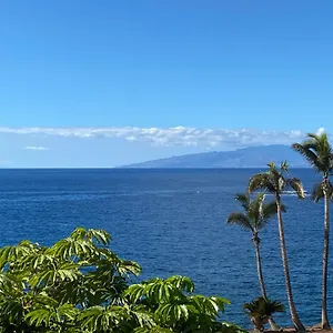 Flores 5 Holiday home Playa de las Americas (Tenerife)